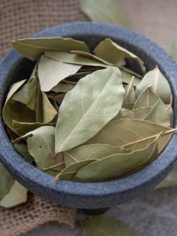 Bay Leaves